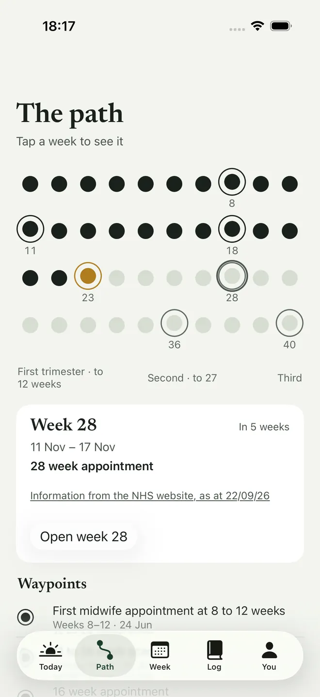 The Path: forty dots in rows of ten, filled to week 23, with the Week 28 card, the 28 week appointment and its NHS source line, and the list of NHS waypoints below, shown with example data.